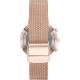 Skagen Hald SKT1411