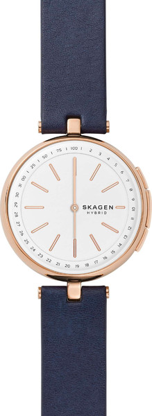 Skagen Signatur SKT1412
