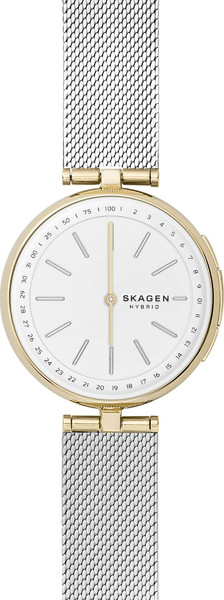 Skagen Signatur SKT1413