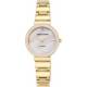 Anne Klein 2434PMGB